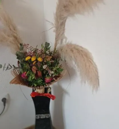 Topli Dom Lägenhet Banja Luka