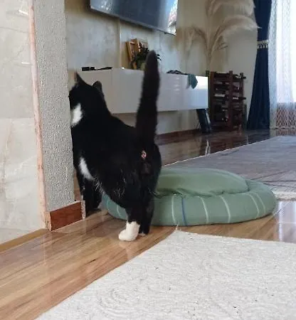 Topli Dom Banja Luka