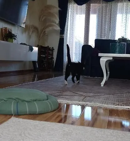 Topli Dom Lägenhet *