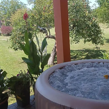 Apartment Topli Dom *